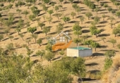 Non-developable land for sale in Vélez-Rubio ref: TR392421 photo