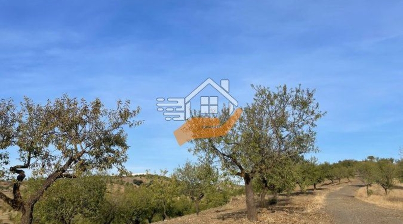 Almería - Vélez-Rubio - 12000m2