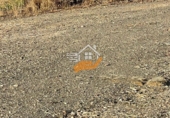 Non-developable land for sale in Vélez-Rubio ref: TR392421 photo