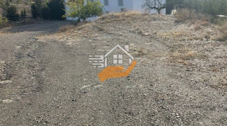 Almería - Vélez-Rubio - 12000m2