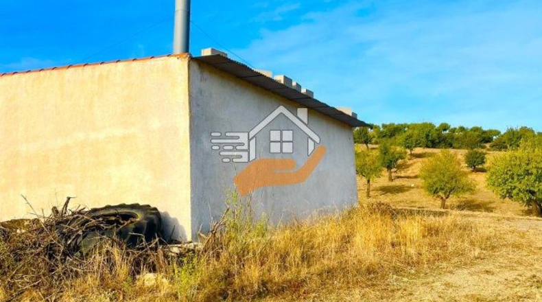 Almería - Vélez-Rubio - 12000m2