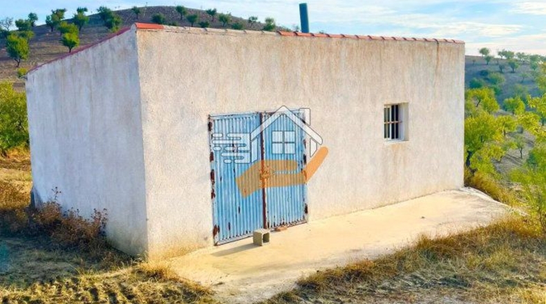 Almería - Vélez-Rubio - 12000m2