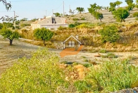 Foto 19