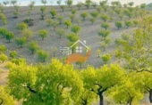 Non-developable land for sale in Vélez-Rubio ref: TR392421 photo