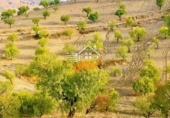Non-developable land for sale in Vélez-Rubio ref: TR392421 photo