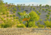 Non-developable land for sale in Vélez-Rubio ref: TR392421 photo