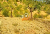 Non-developable land for sale in Vélez-Rubio ref: TR392421 photo