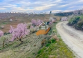 Non-developable land for sale in Vélez-Rubio ref: TR392421 photo
