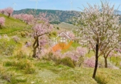 Non-developable land for sale in Vélez-Rubio ref: TR392421 photo