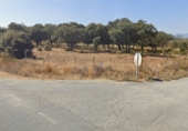 Non-developable land for sale in Zarza de Granadilla ref: TR392299 photo