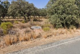 Zarza de Granadilla 26903&nbsp;m² 