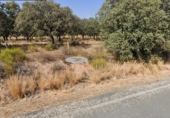 Non-developable land for sale in Zarza de Granadilla ref: TR392299 photo