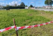 Land suitable for development for sale on Madreselva 7, El Rincón, ref: TR392650 photo