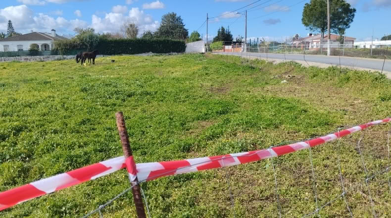 Huelva - El Rincón - 3275m2