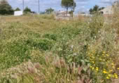 Land suitable for development for sale on Madreselva 7, El Rincón, ref: TR392650 photo