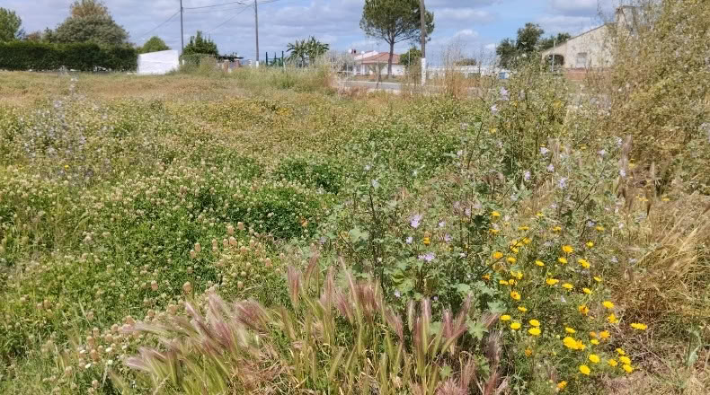 Huelva - El Rincón - 3275m2