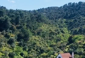 Tolox 13000&nbsp;m² 