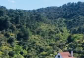 Casa amb terreny en venda a Tolox ref.: TR393305 foto
