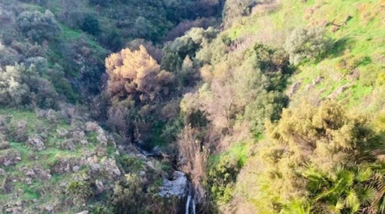 Málaga - Tolox - 13000m2