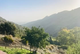 Tolox 13000&nbsp;m² 