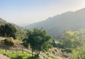 Casa amb terreny en venda a Tolox ref.: TR393305 foto