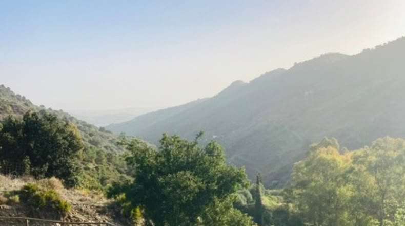 Málaga - Tolox - 13000m2