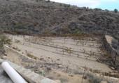 Finca rústica en venda a la España, Arico el Nuevo, ref.: TR392707 foto
