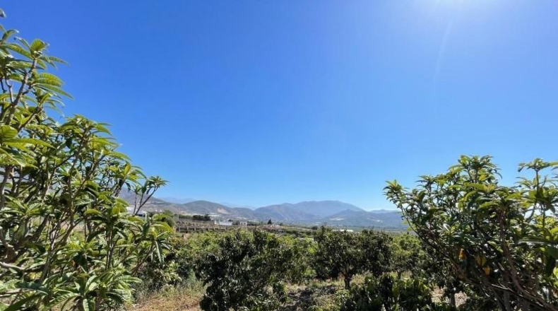 Granada - Salobreña - 9264m2