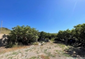 Chalet independiente con terreno en venta en la España, Salobreña, ref: TR393200 foto