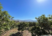 Chalet independiente con terreno en venta en la España, Salobreña, ref: TR393200 foto