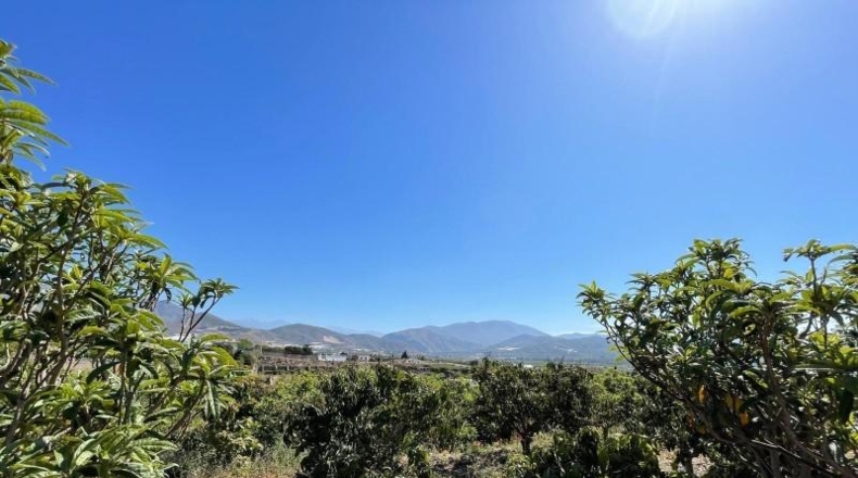 Granada - Salobreña - 9264m2