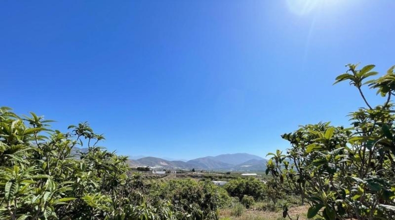 Granada - Salobreña - 9264m2