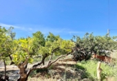 Xalet independent amb terreny en venda a la España, Molvízar, ref.: TR392767 foto