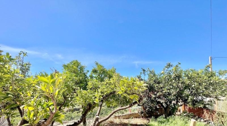 Granada - Molvízar - 3670m2