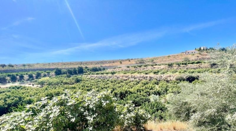 Granada - Molvízar - 3670m2