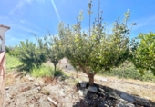 Xalet independent amb terreny en venda a la España, Molvízar, ref.: TR392767 foto