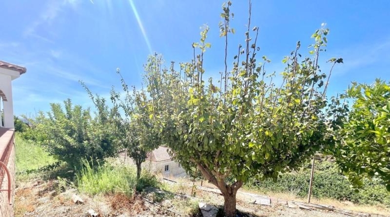 Granada - Molvízar - 3670m2