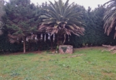 Finca rústica en venta en la España, La Castañalona, ref: TR400479 foto