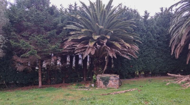 Asturias - Castrillón - 5000m2