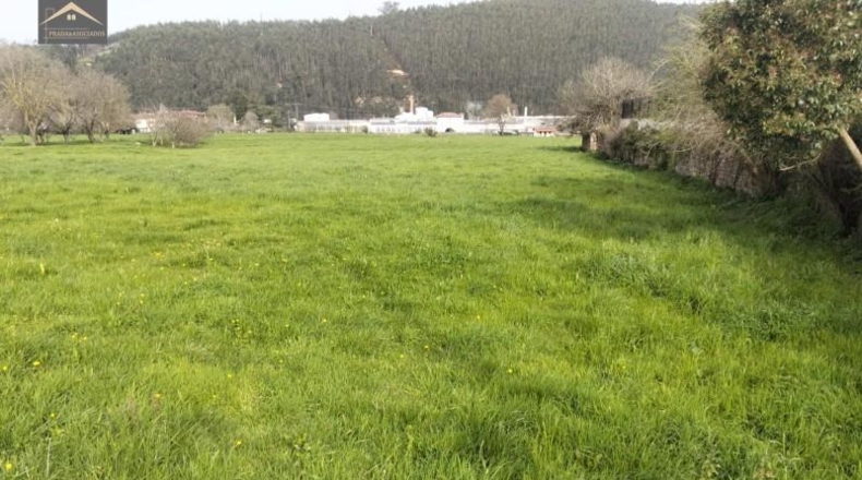 Cantabria - Cabezón de la Sal - 2875m2