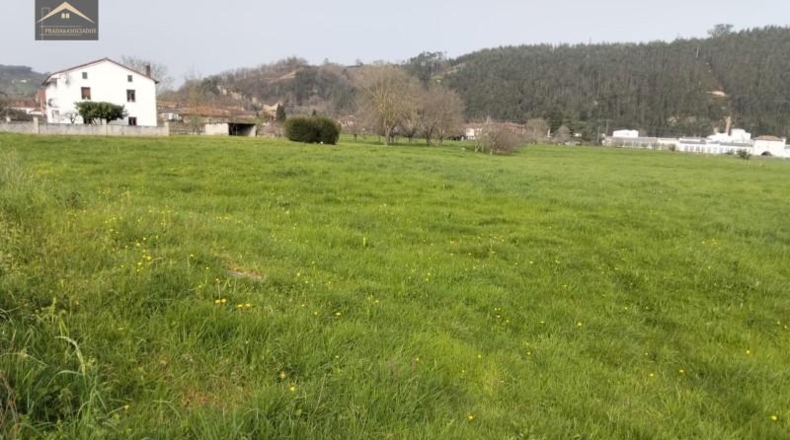 Cantabria - Cabezón de la Sal - 2875m2