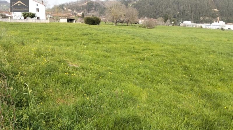 Cantabria - Cabezón de la Sal - 2875m2