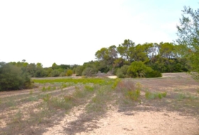 Muro 15588&nbsp;m²