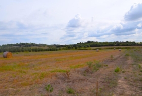Muro 15588&nbsp;m²