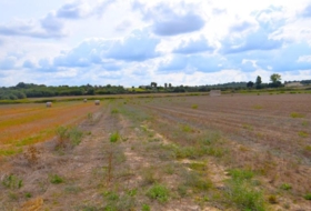 Muro 15325&nbsp;m²