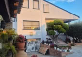 Detached villa with land for sale on España, Orihuela, ref: TR400808 photo