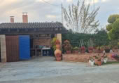 Detached villa with land for sale on España, Orihuela, ref: TR400808 photo