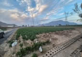 Detached villa with land for sale on España, Orihuela, ref: TR400808 photo