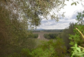 Muro 15325&nbsp;m²