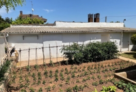 Alfaro 1000&nbsp;m² 